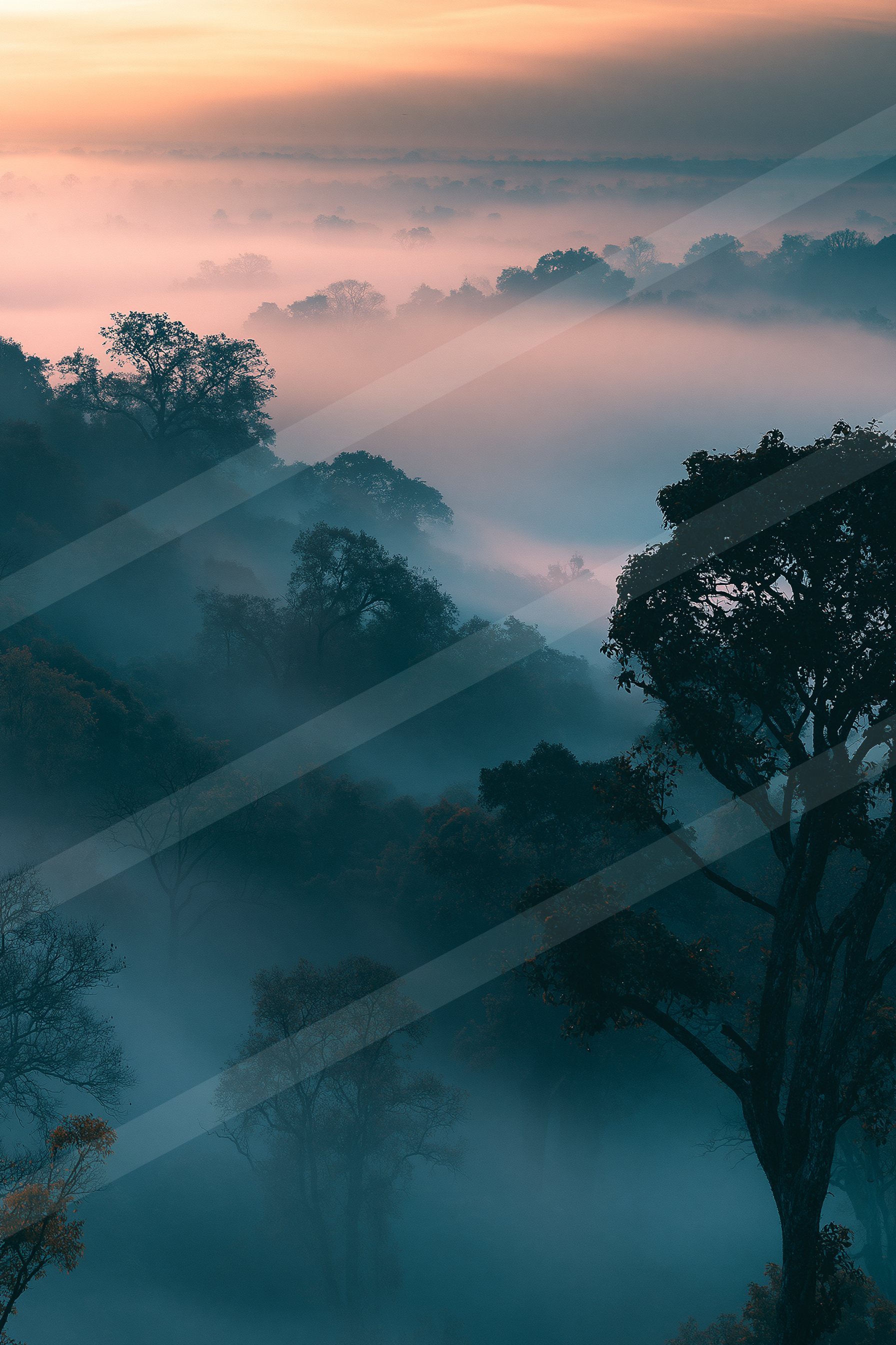 An ethereal panorama nature scene of a forest, fog.