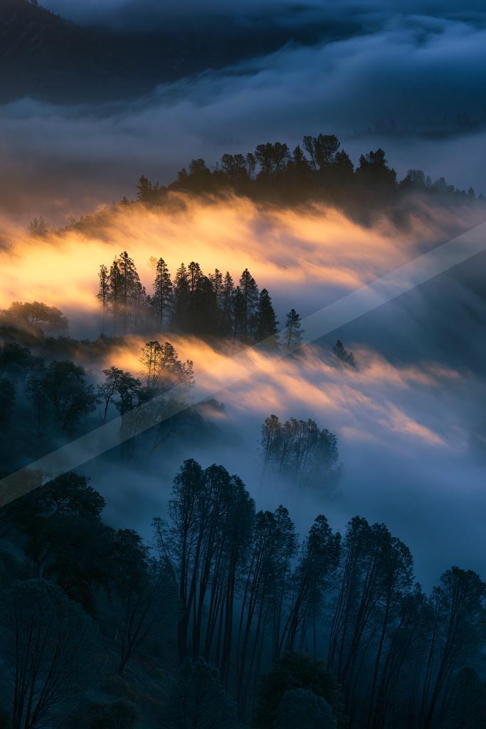 A blue hour sky scene of sunrise, forest, mountains.