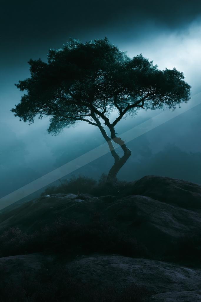 A solitary tree with a twisted trunk stands on a rocky outcrop covered in heather, surrounded by thick blue mist and dramatic dark clouds.