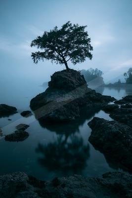 A blue hour long exposure nature scene of trees, lake, fog.