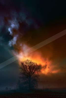 A dramatic sky scene of sunset, trees, clouds.