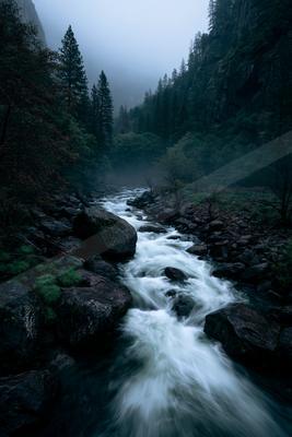 A fast-flowing river rushes over dark rocks through a misty, forested mountain valley with tall evergreen trees and heavy fog.
