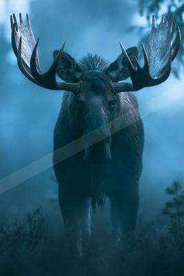 A large moose stands prominently in a misty forest, its massive antlers and dark fur illuminated by soft blue light.