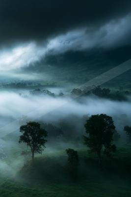 A dramatic sky scene of storm, trees, forest.