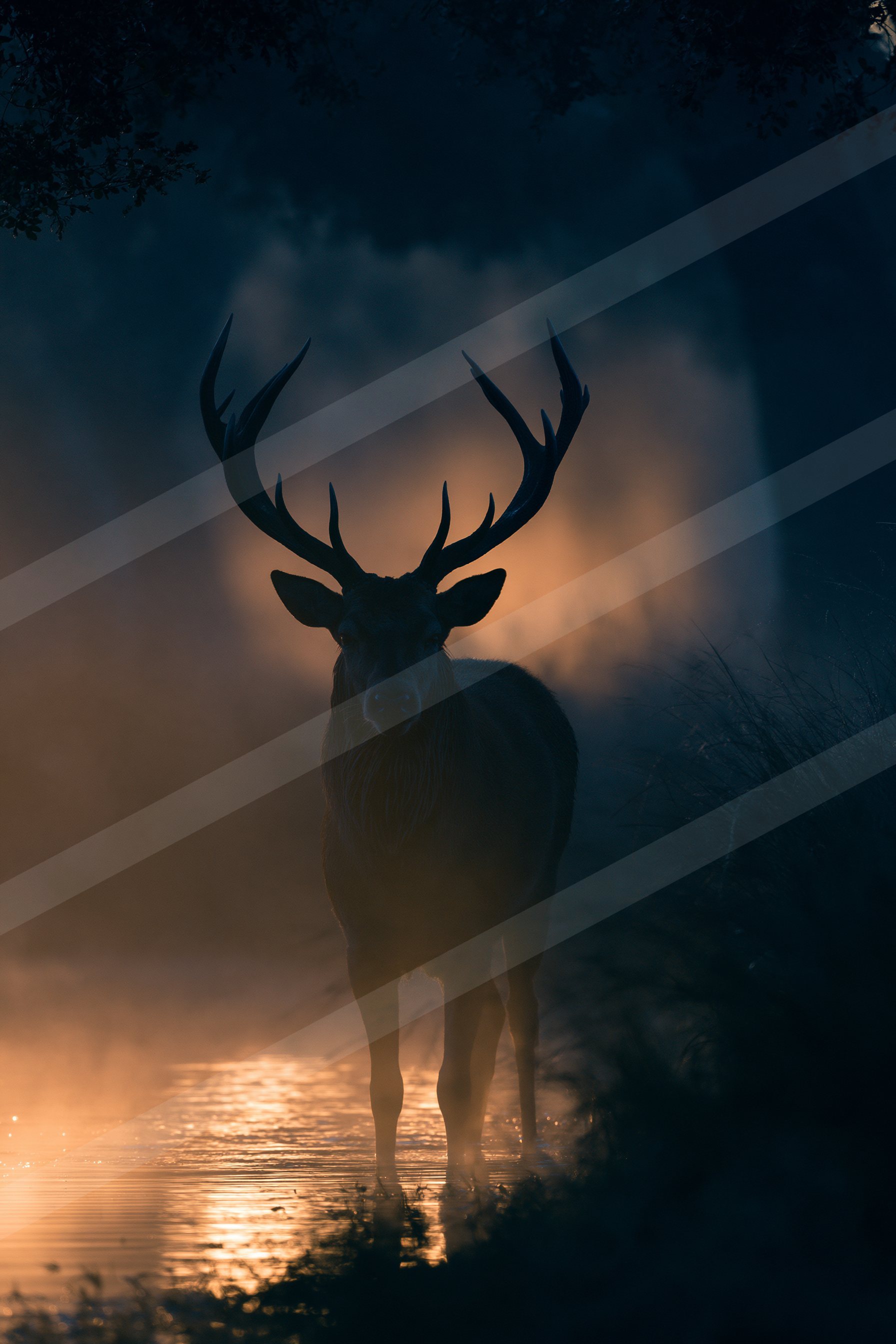 Double exposure.