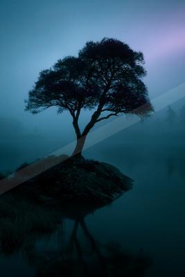 A blue hour nature scene of trees, storm, lake.