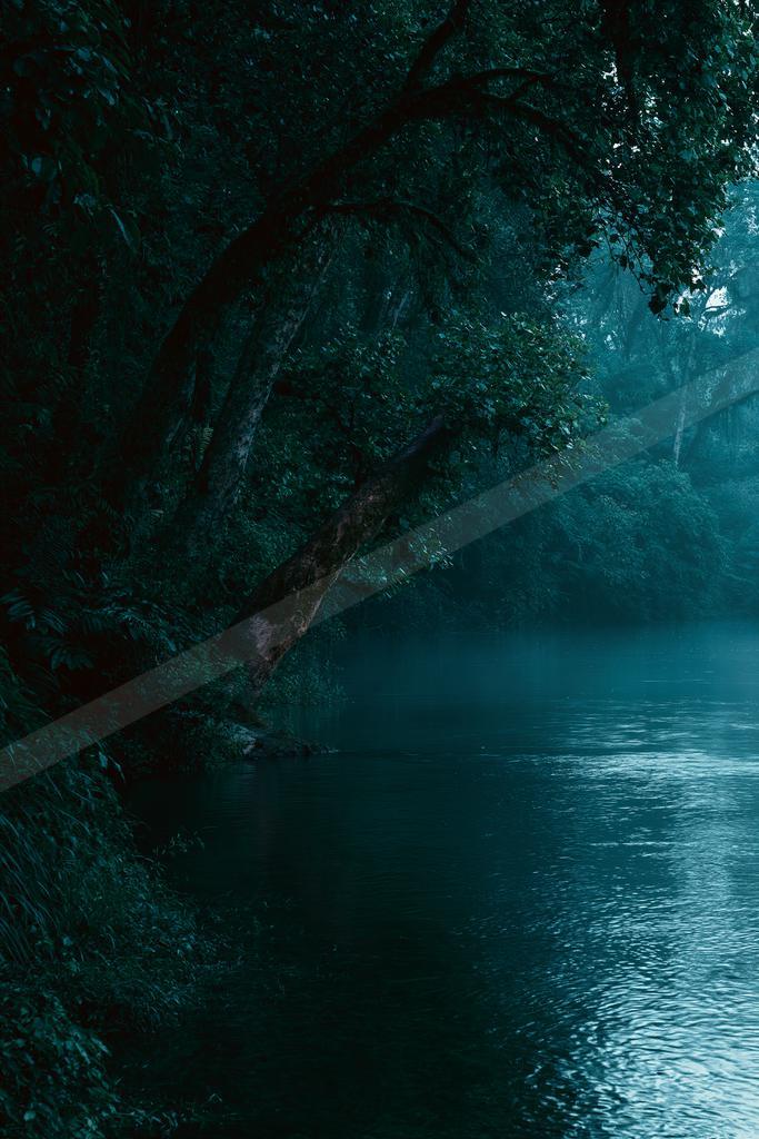 A night water scene of river, lake, reflection.