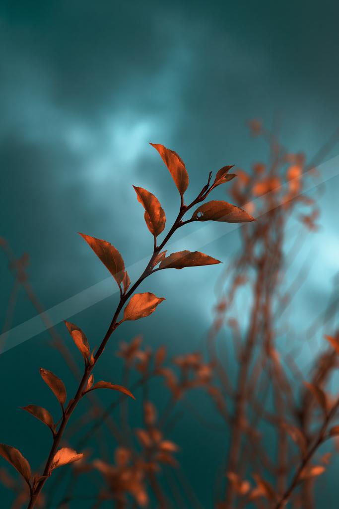 A bright nature scene of plants, trees, flowers.
