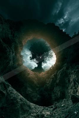 A night nature scene of trees.