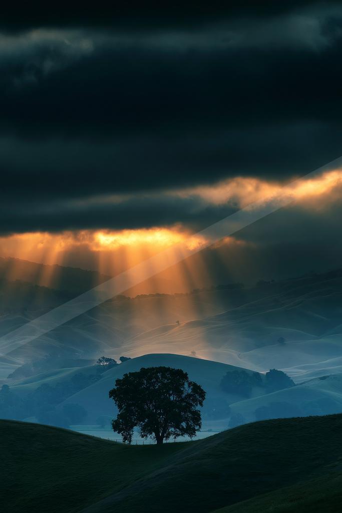 A dramatic high contrast sky scene of a sunbeams, fog.