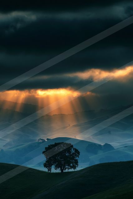 A dramatic high contrast sky scene of a sunbeams, fog.