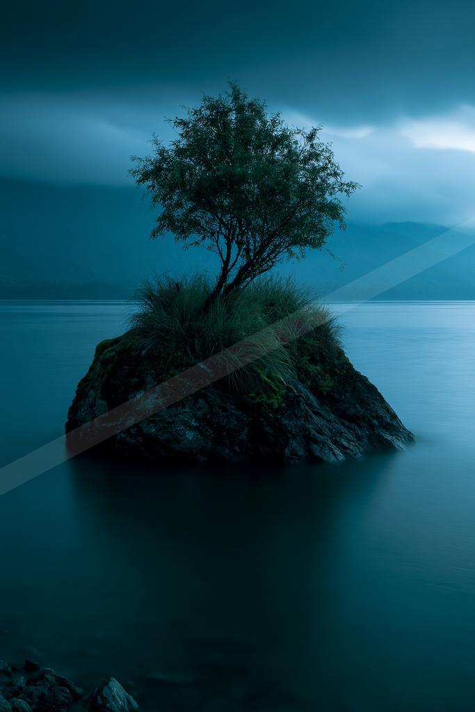 A blue hour long exposure nature scene of trees, lake.