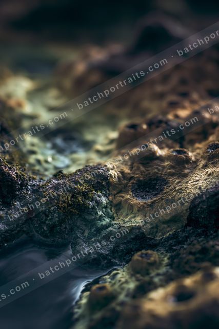 An ethereal macro water scene of a stream, rocks.