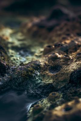 A moody still life of abstract texture, ocean.