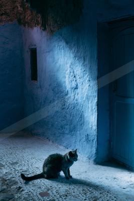 A black-toned moody photograph of doormat, egyptian cat, tabby.