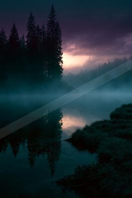 A calm lake reflects silhouetted pine trees and a colorful twilight sky filled with mist and fog in a serene forest landscape.