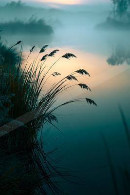 A serene minimalist water scene of lake, sunrise, field.
