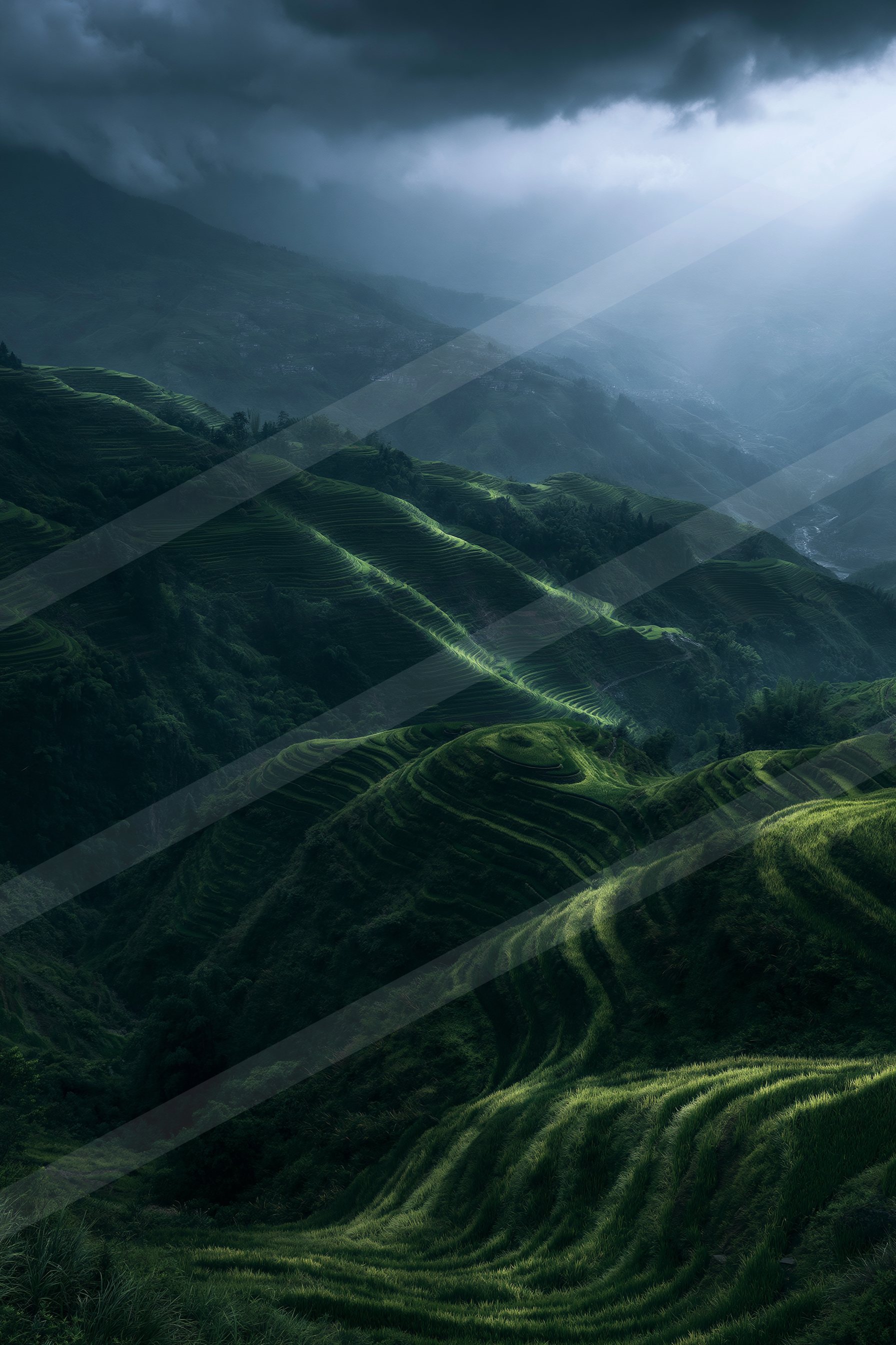 A breathtaking view of terraced rice fields stretching across rolling hills under a moody, cloudy sky.