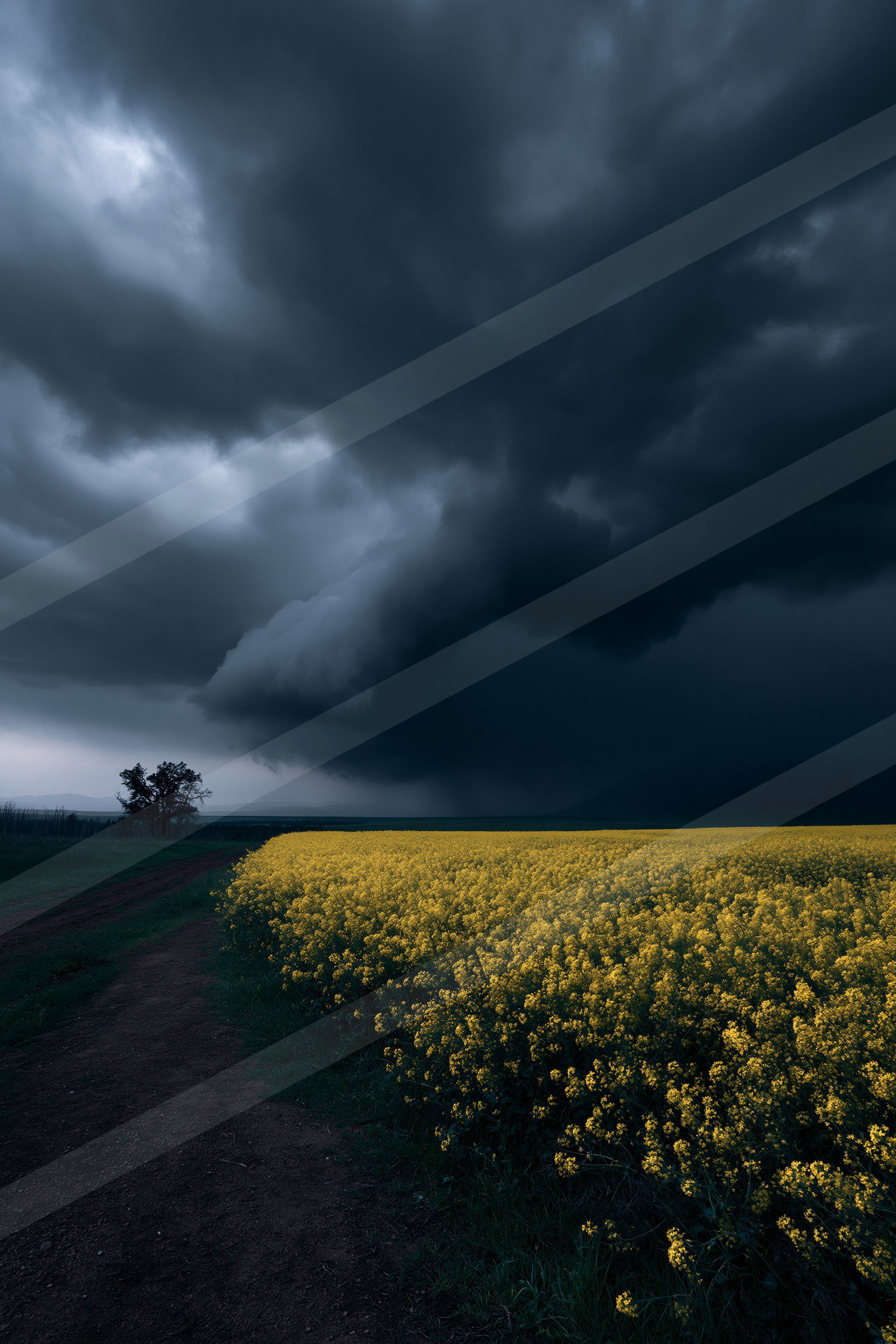 A dark storm cloud looms over a field of bright yellow flowers with a lone tree in the distance.