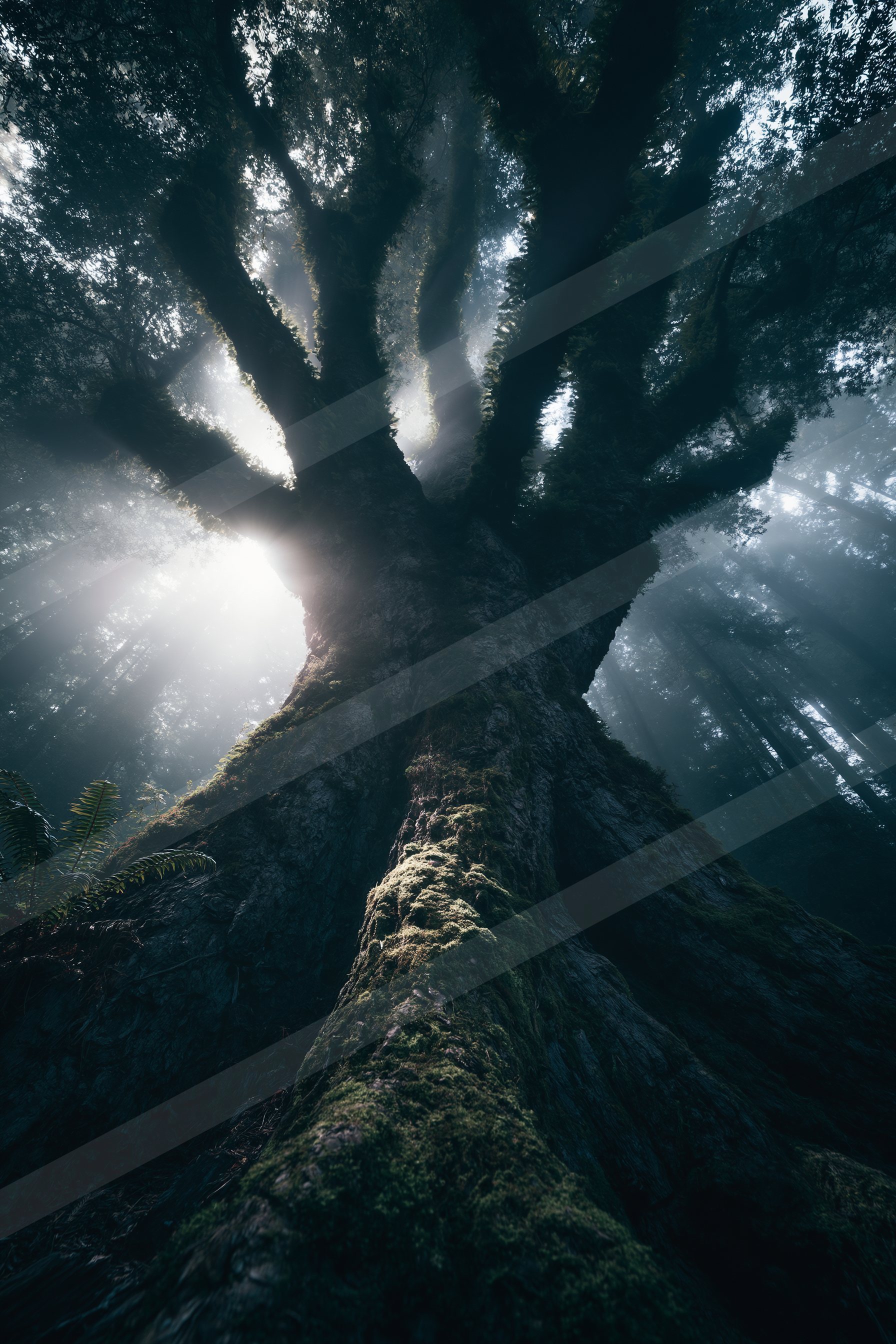 An ethereal symmetry nature scene of an oak tree.