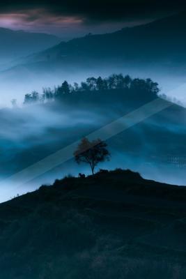 A blue hour long exposure sky scene of sunrise, trees, valley.