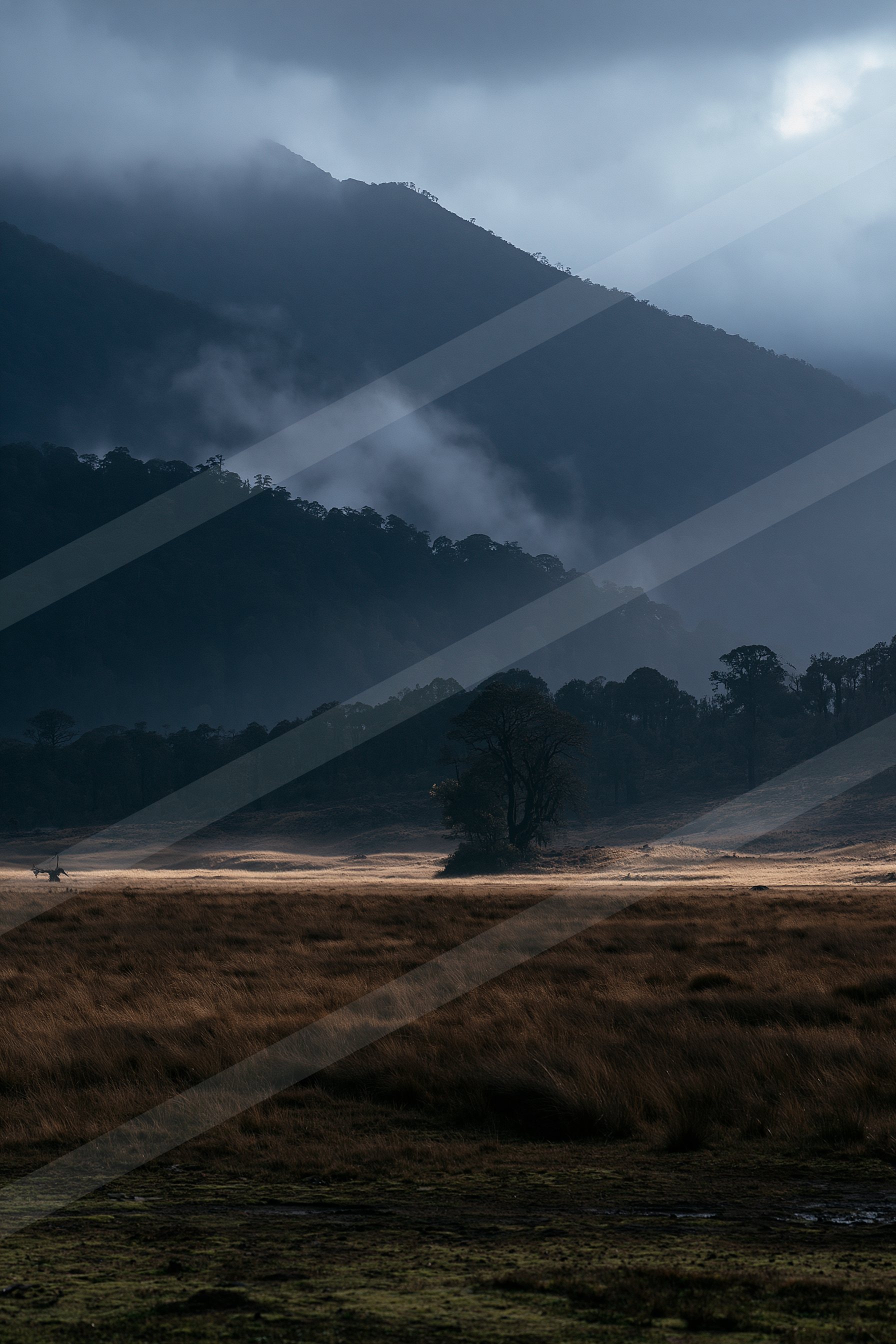 A moody high contrast landscape of a countryside, fog.