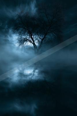 A night nature scene of trees, storm, clouds.