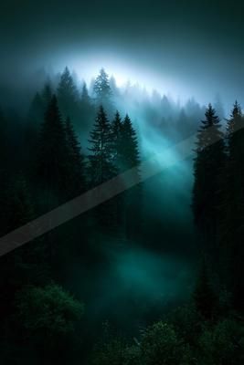A black-toned moody photograph of lakeside, valley, alp.