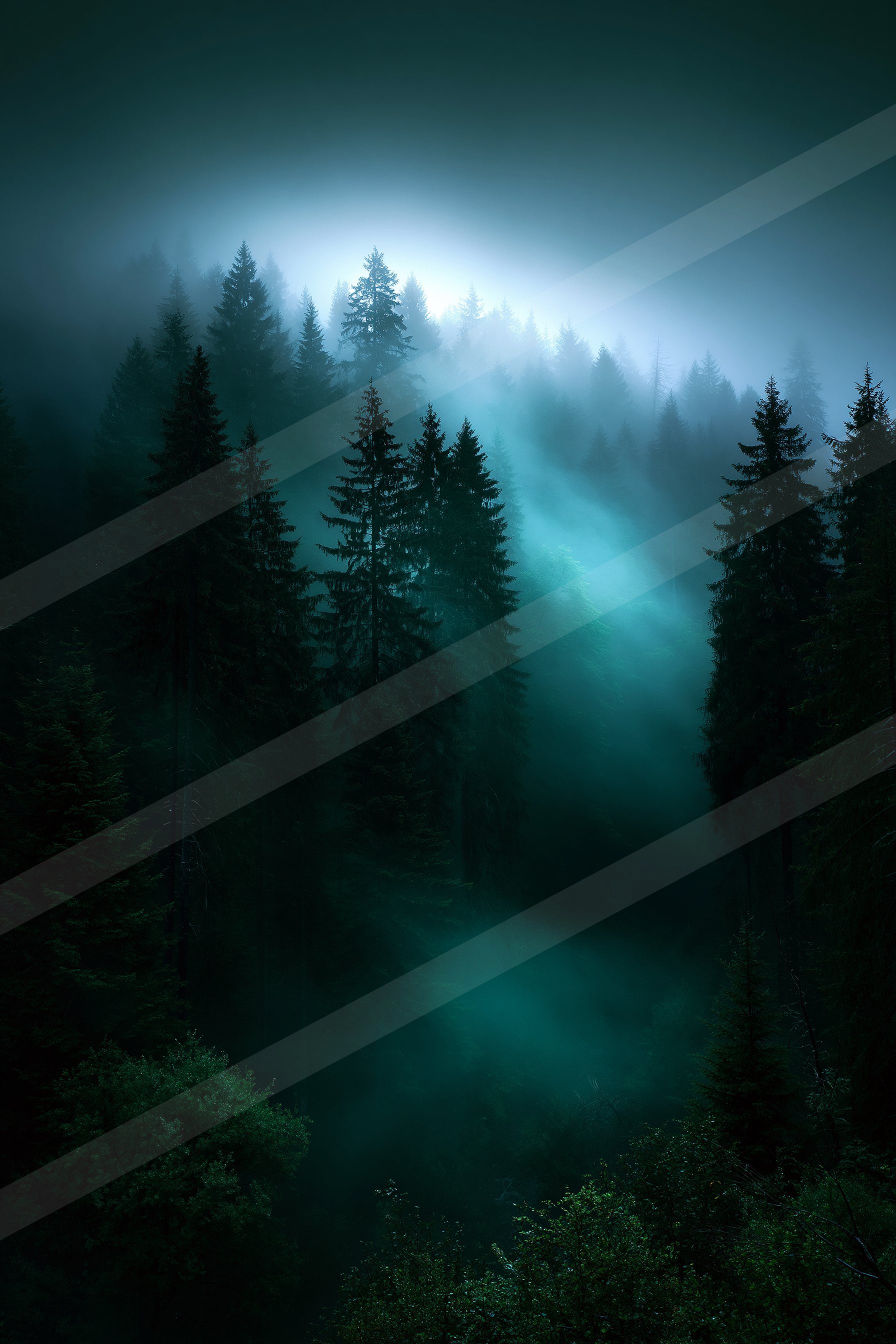A mysterious nature scene of a forest, fog.