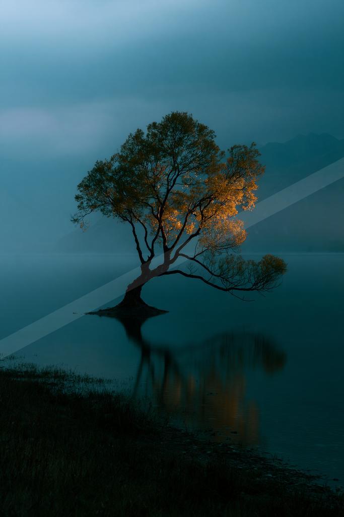 A solitary tree with golden illuminated leaves stands on a small islet in a misty lake, its reflection visible in the still water under a foggy blue sky.