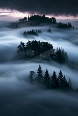 A dramatic landscape of mountains, forest, clouds.