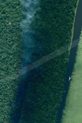 Bird's eye view of a lush green forest canopy bordering a dark river, with a white bird flying above the water and mist rising from the trees.