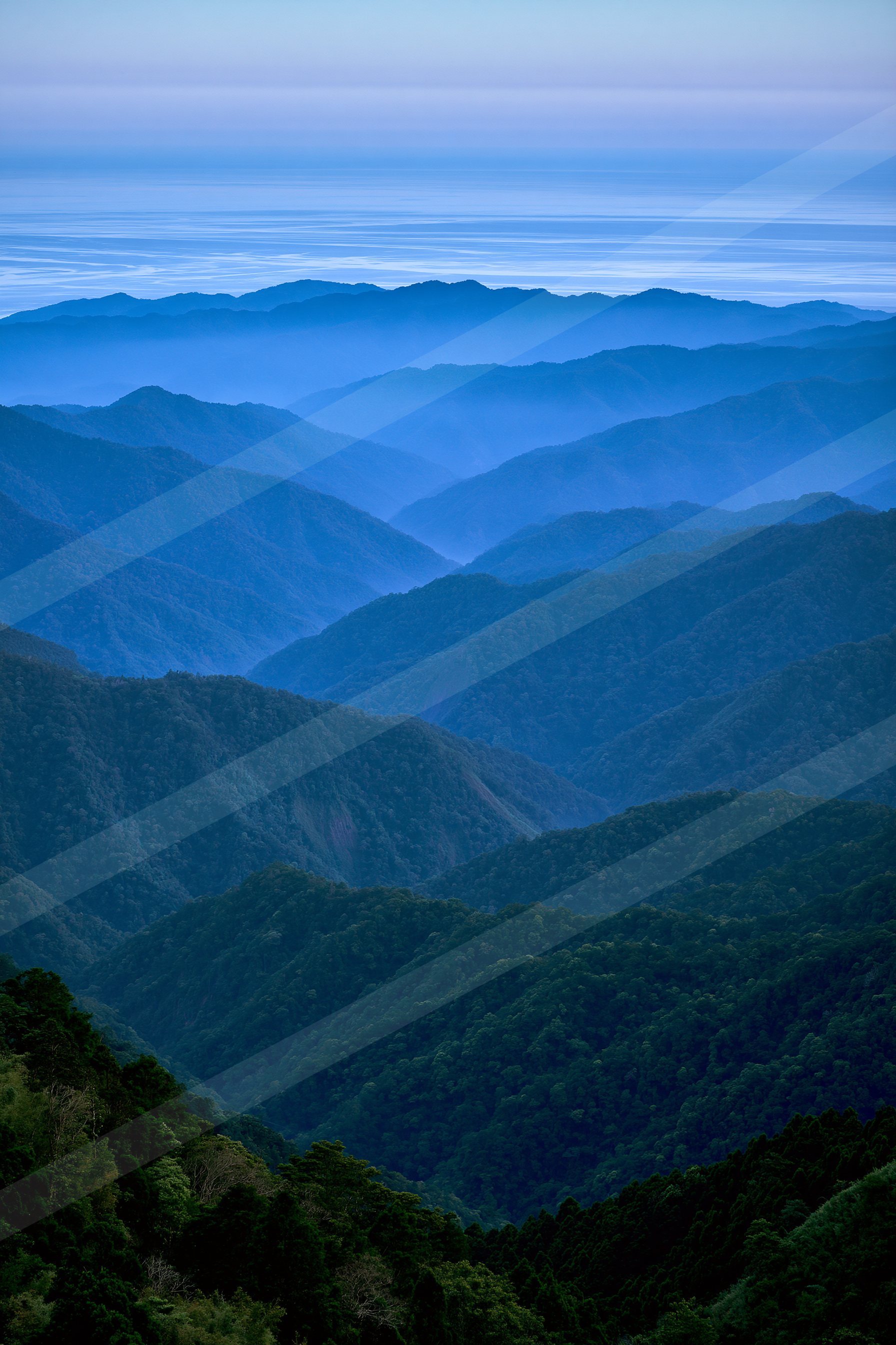 A blue hour panorama landscape of a rolling hills, fog.