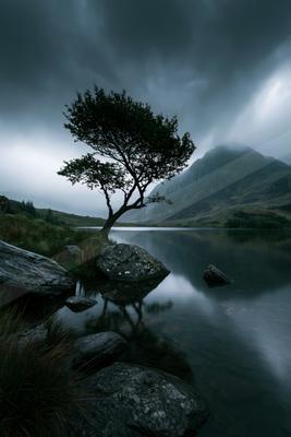 A dramatic long exposure nature scene of trees, lake, storm.