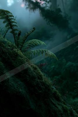 A moody water scene of ocean, forest.