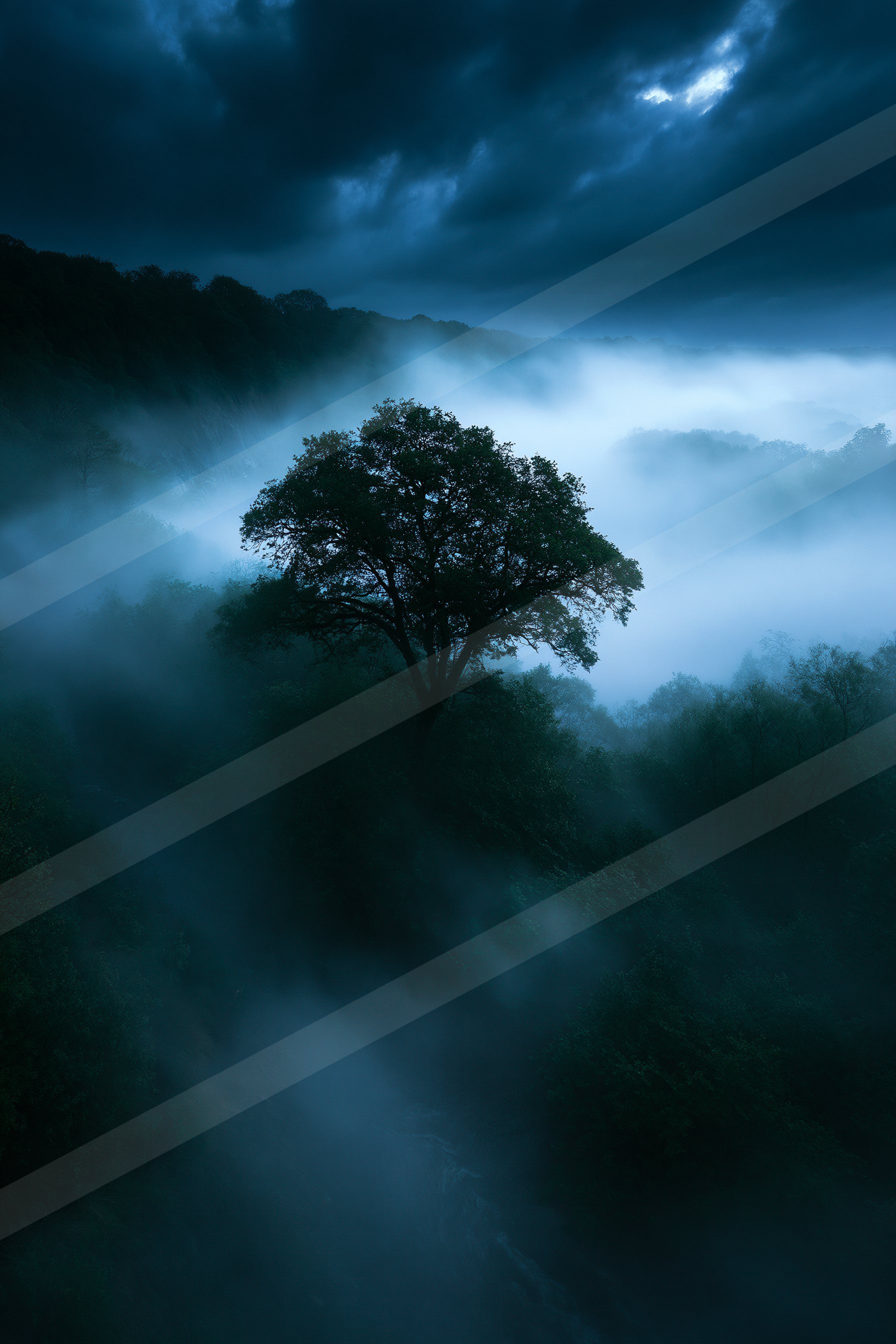 An ethereal high contrast nature scene of an oak tree, fog.