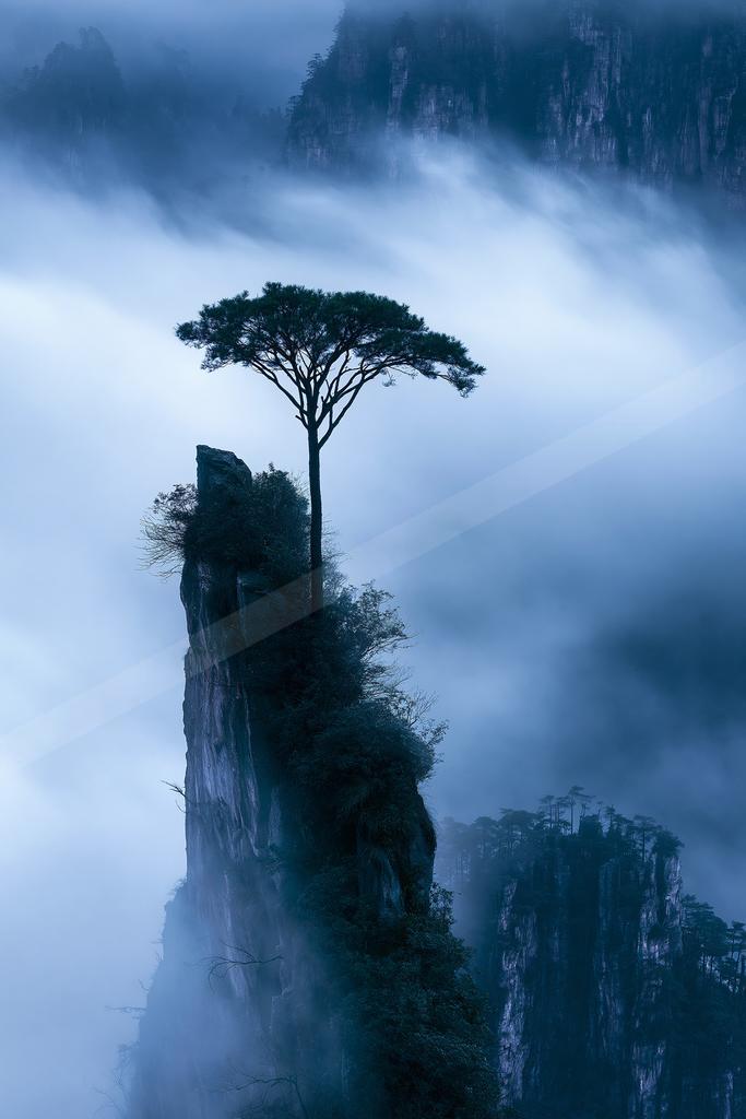 A bright nature scene of trees, mountains, fog.