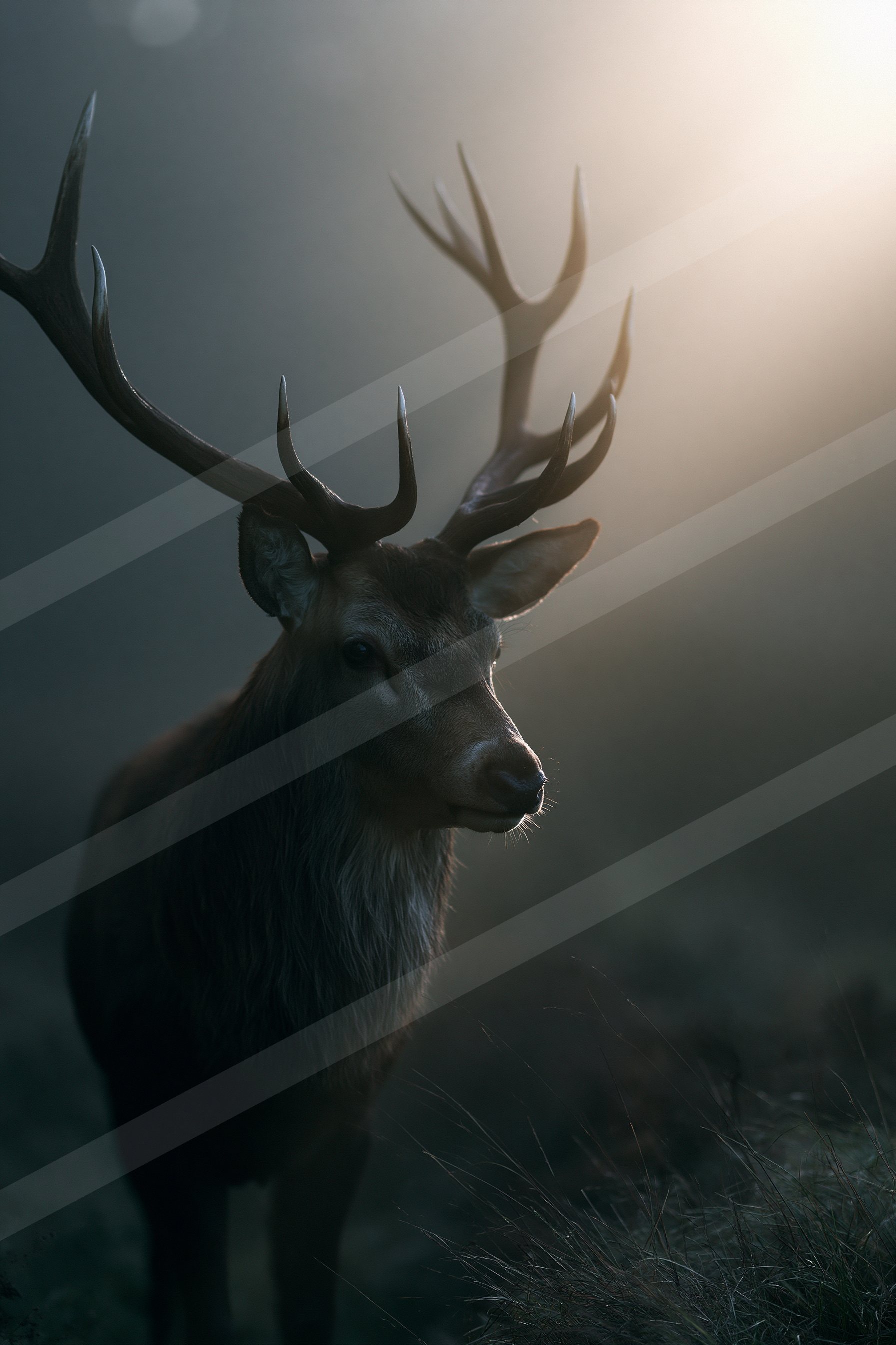 A powerful stag with large antlers stands silhouetted against a glowing, misty sky.