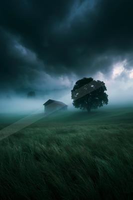 A black-toned moody photograph of barn, rapeseed, hay.