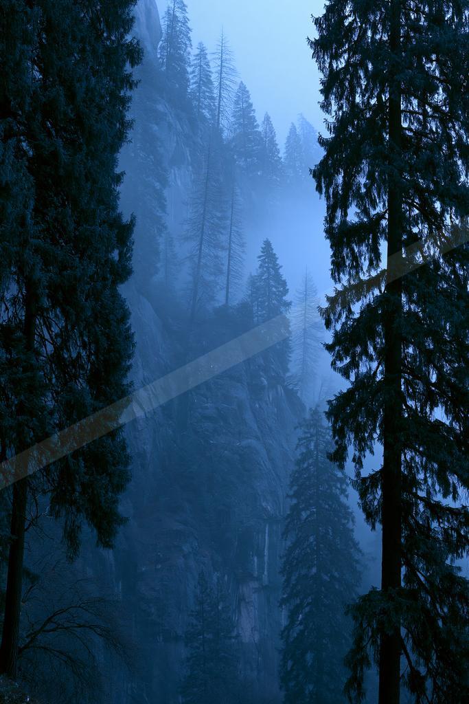 A blue hour nature scene of forest, mountains, fog.