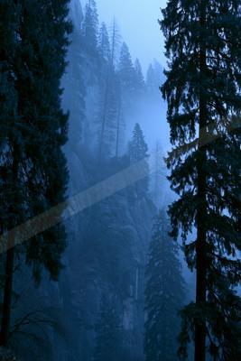 A blue hour nature scene of forest, mountains, fog.