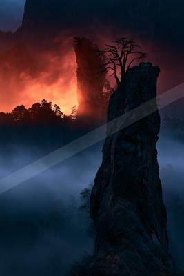 A dramatic sky scene of sunrise, trees, fog.