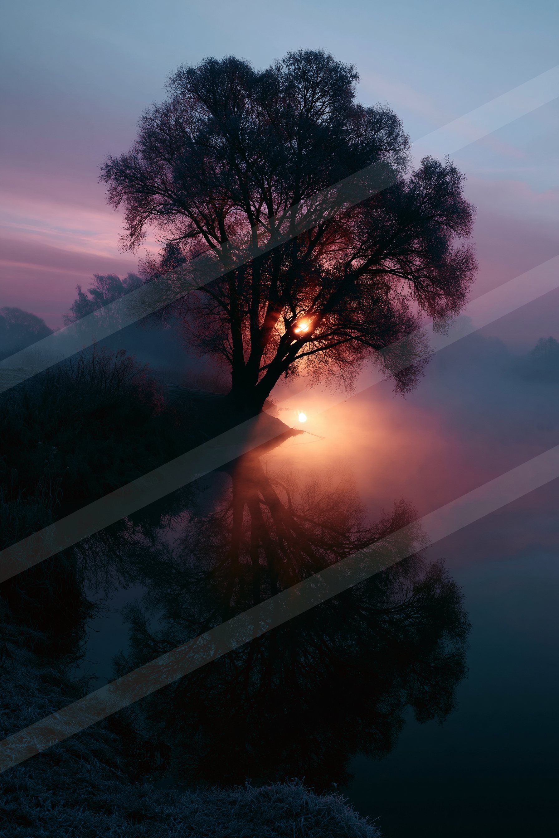 A lone tree stands silhouetted against a colorful sunrise with misty surroundings.