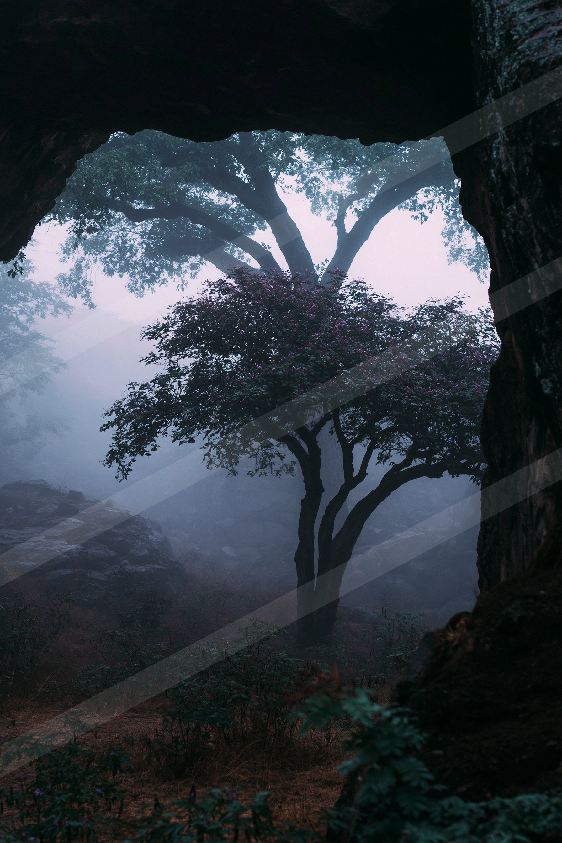 A misty forest scene featuring silhouetted trees against a foggy backdrop, framed by rocky outcrops.