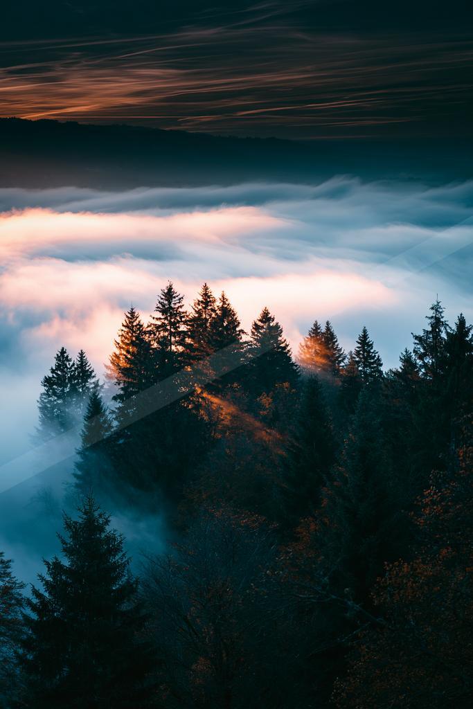 A dramatic landscape of mountains, forest, sunrise.