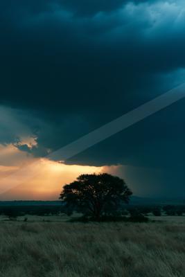 A blue hour sky scene of storm, trees, clouds.
