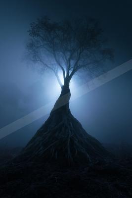 A black-toned moody photograph of lakeside, spotlight, volcano.