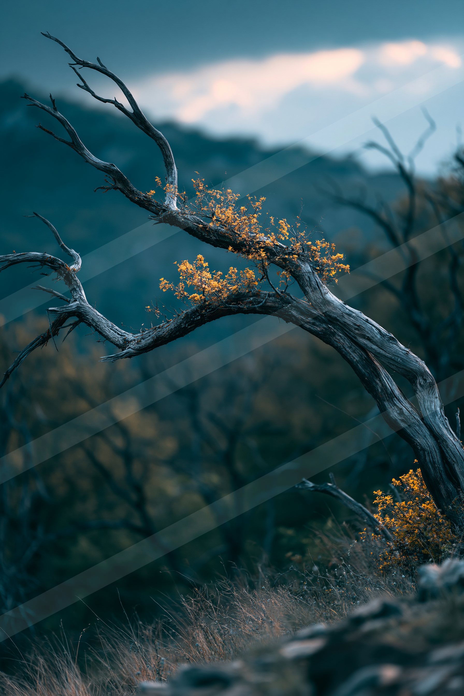 A stark tree branch adorned with vibrant yellow leaves stands out against a moody twilight sky.