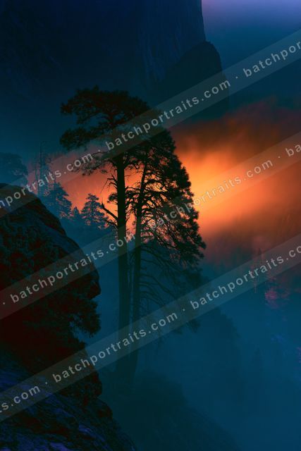 An ethereal high contrast sky scene of a sunrise, fog.