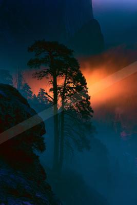 A moody sky scene of sunset, forest.